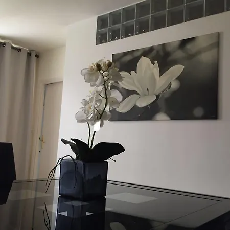 Апартаменты Suites Elysees Montaigne